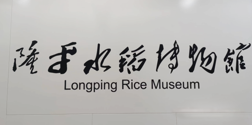 長沙地鐵6號線 長沙地鐵6號線